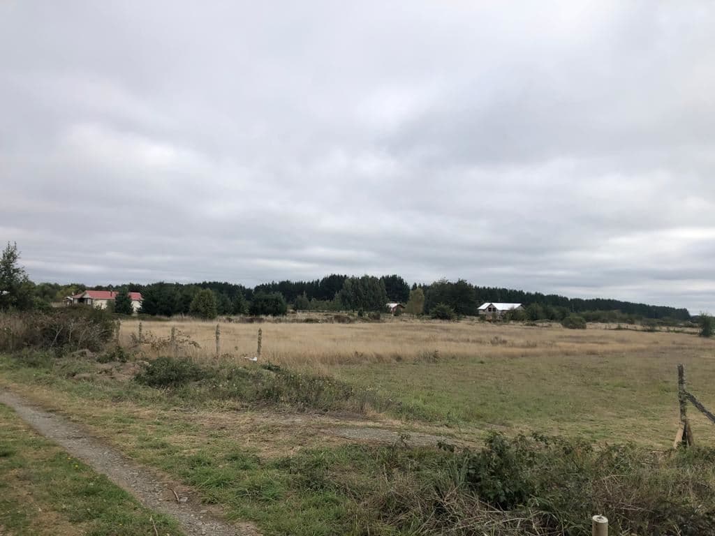 Loteo Fundo Frutillar