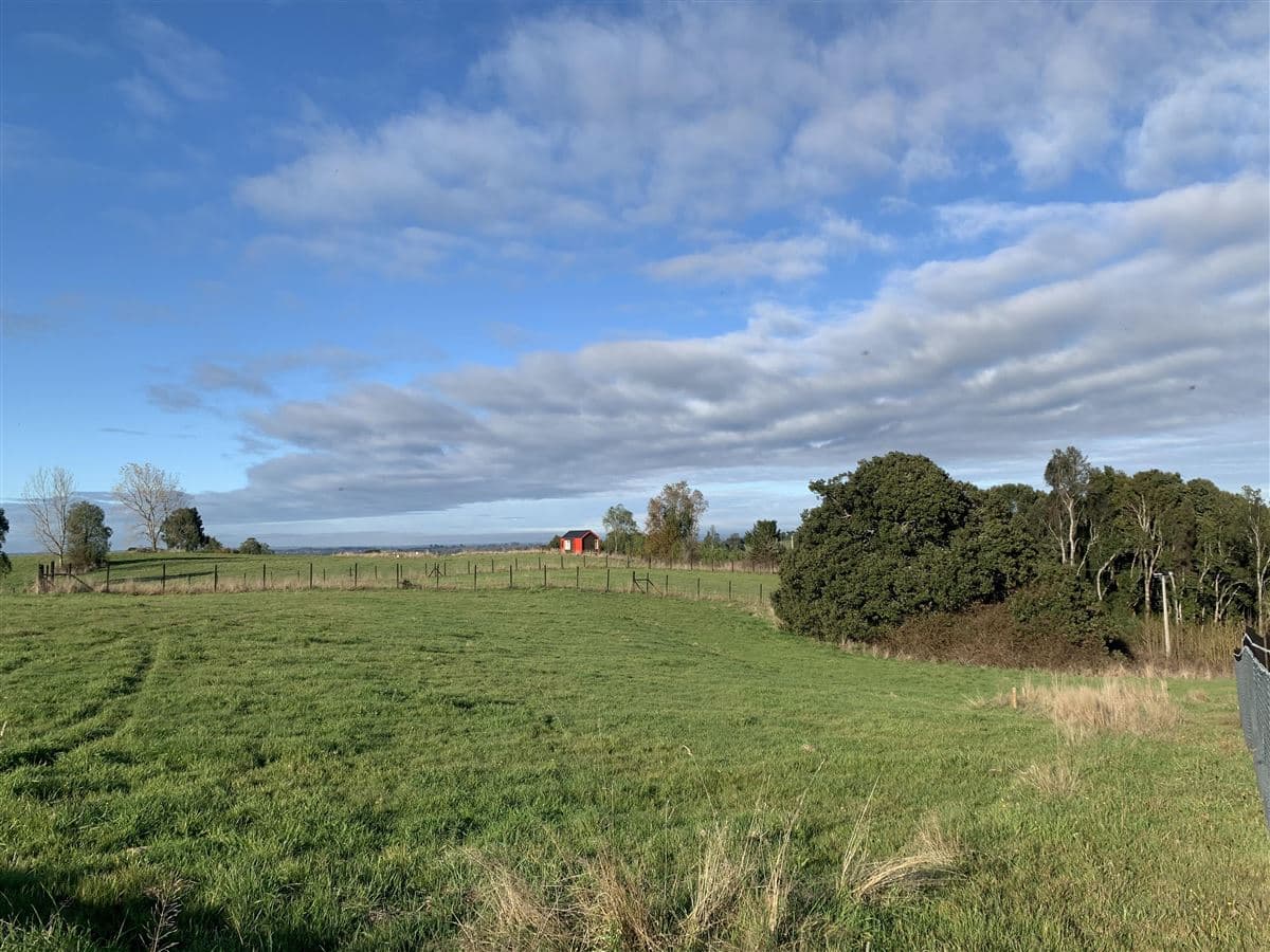 Loteo Los Copihues de Puerto Varas