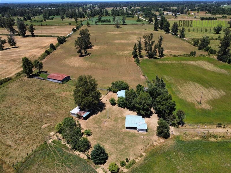 52 hectareas, a 20 kms de Rio Bueno y 1 km de ruta asfaltada T-705