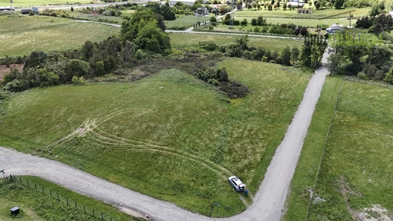 Los Ulmos de Molino Viejo