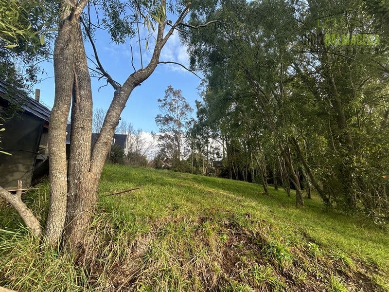 Condominio Las Lomas