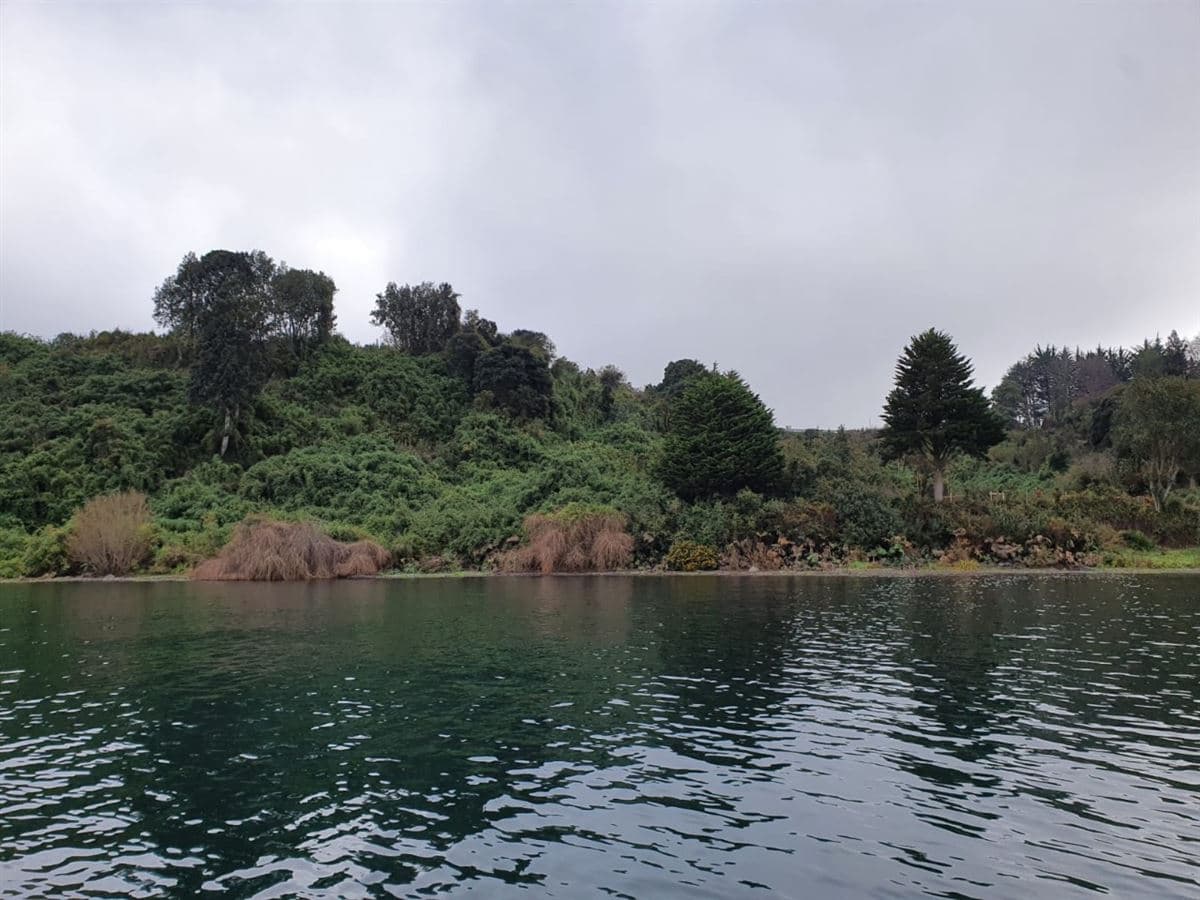 Frutillar bajo 