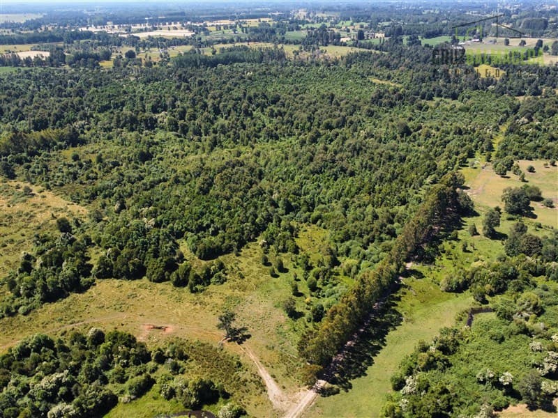 68 hectáreas a 3,5 kms de ruta asfaltada
