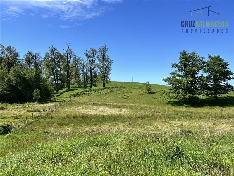 Colegual chico, a 10 kms de Llanquihue y 22 kms de Puerto Varas
