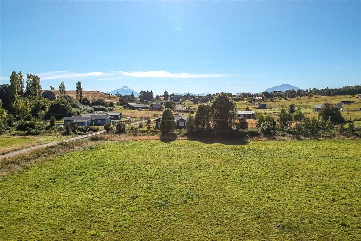 Ulmos de Molino Viejo 
