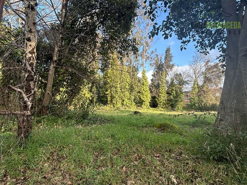 Condominio Las Lomas Puerto Varas