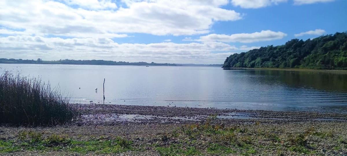 Chuyaquén, Maullín