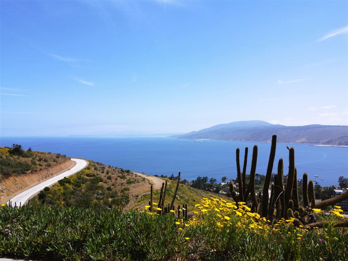 Condominio Mirador de Punta Pite