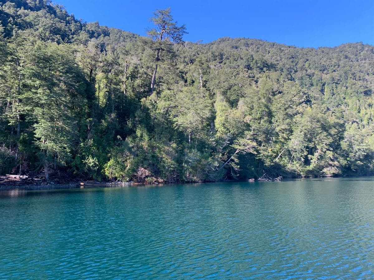 Lago Todos Los Santos
