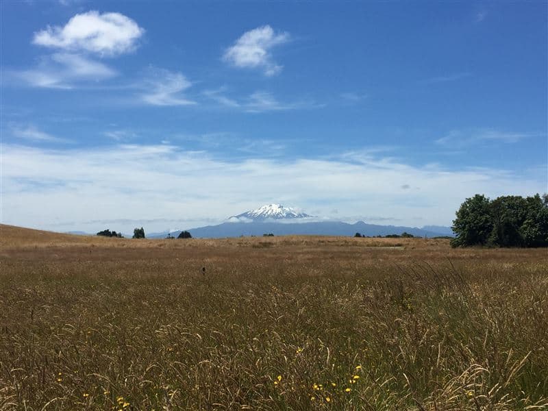 Parque Las Bandurrias