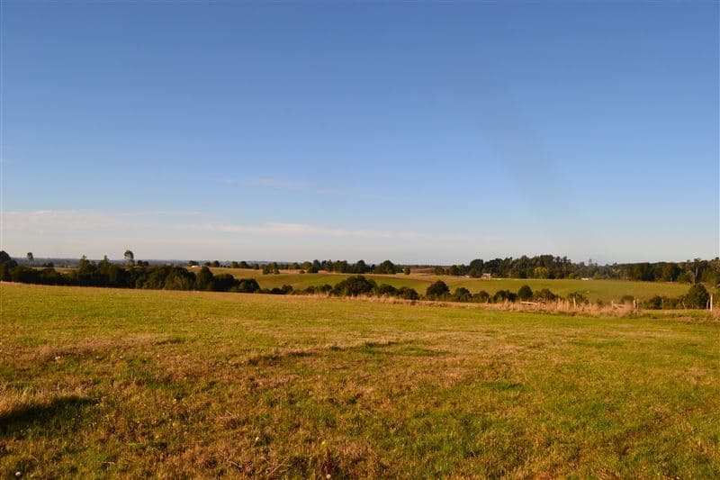 Localidad San Carlos, Camino San Carlos Km 3. Los Muermos