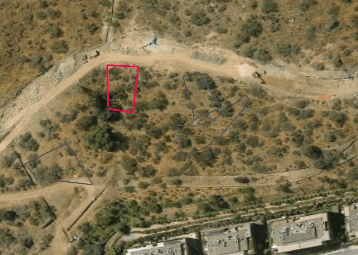 Camino del Condor/ Colibrí