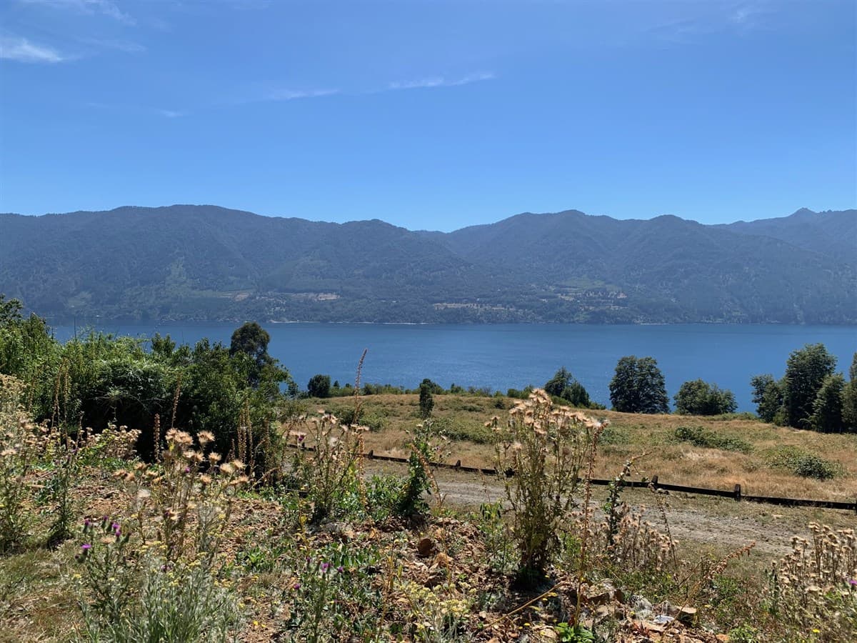Lago Riñihue