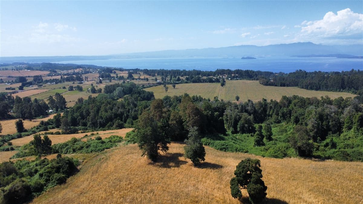 Lago Ranco