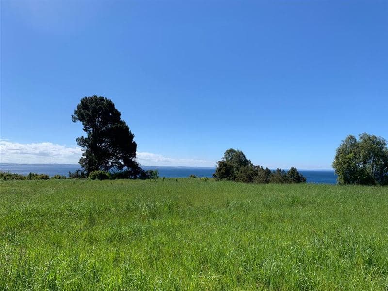 Camino a Ensenada Km 4