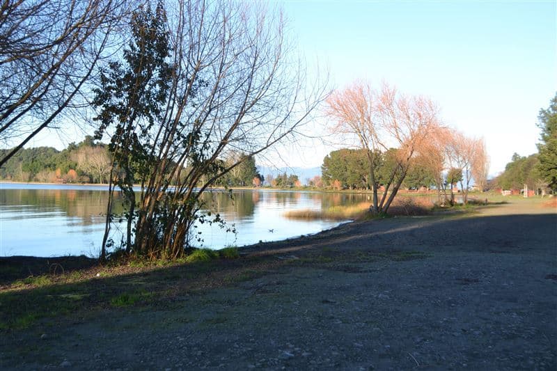 Cercano a Puerto Octay