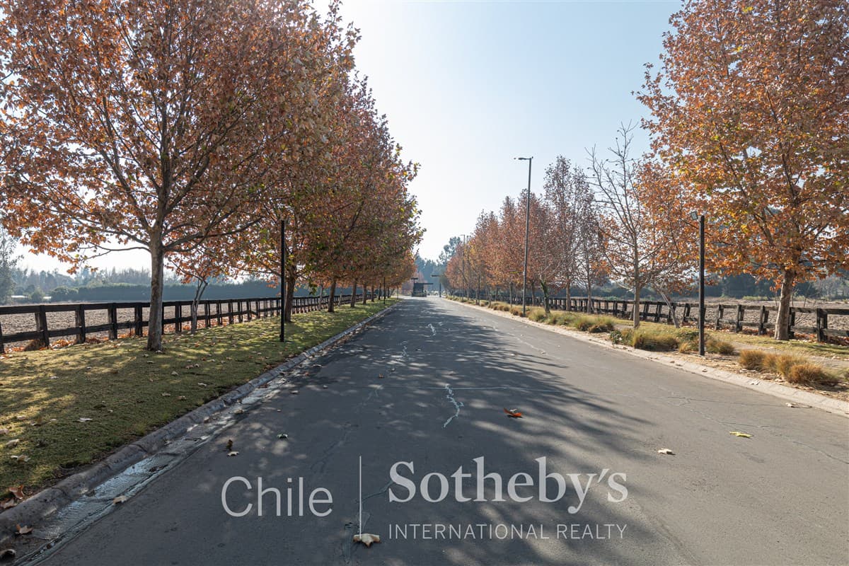 Avenida Chicureo