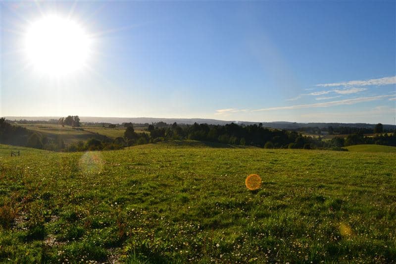 Localidad San Carlos, Camino San Carlos Km 3. Los Muermos