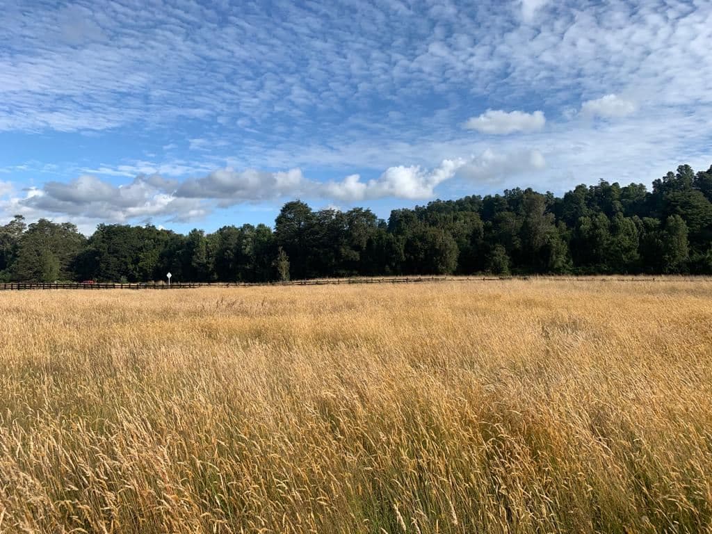 Condominio Terrazas del Maullin