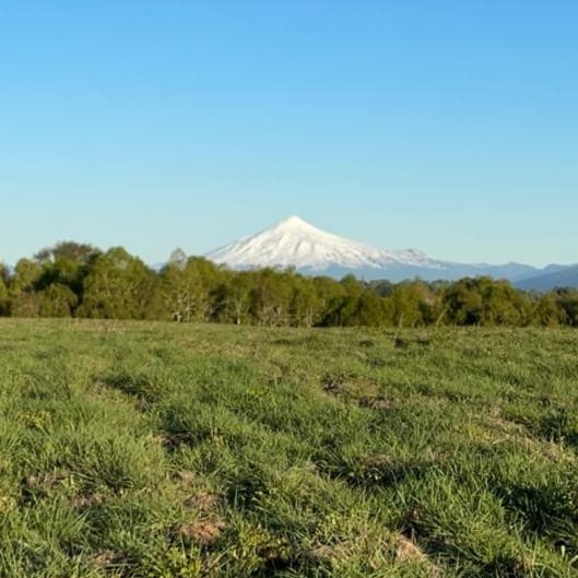 Praderas de Villarrica 