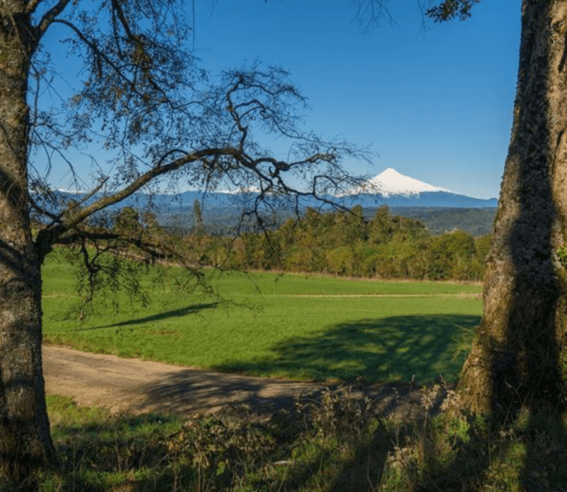 Opciones entre Villarrica, Loncoche y Gorbea