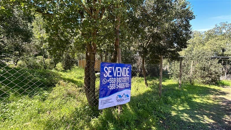 Condominio el Belloto 