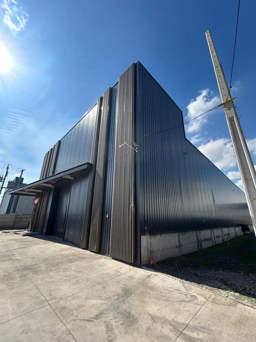 San Eugenio / Santo Tomás/ 