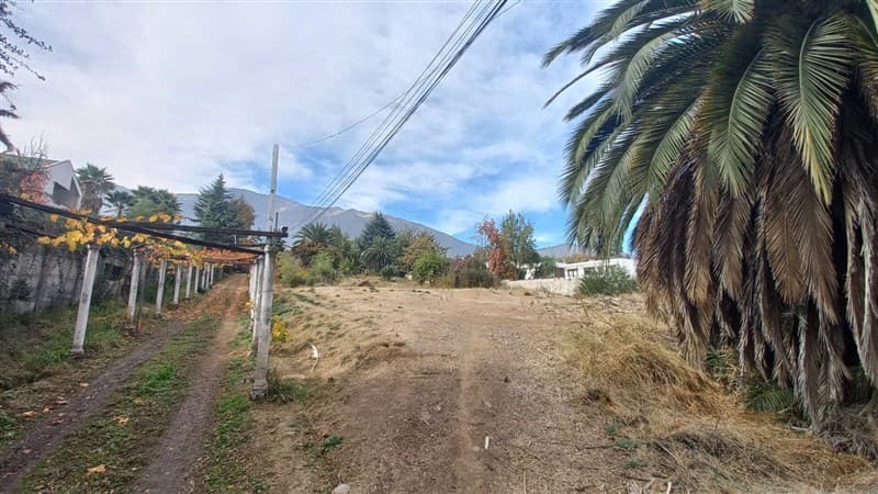 lo cañas