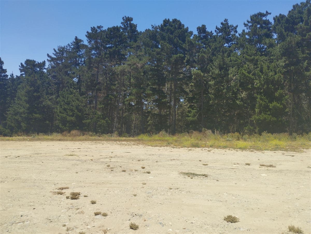 Ruta 78 autopista El Sol y Ruta G-94F