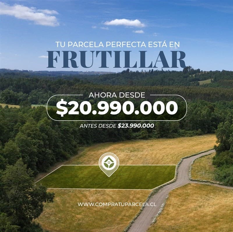 Alta Vista Frutillar