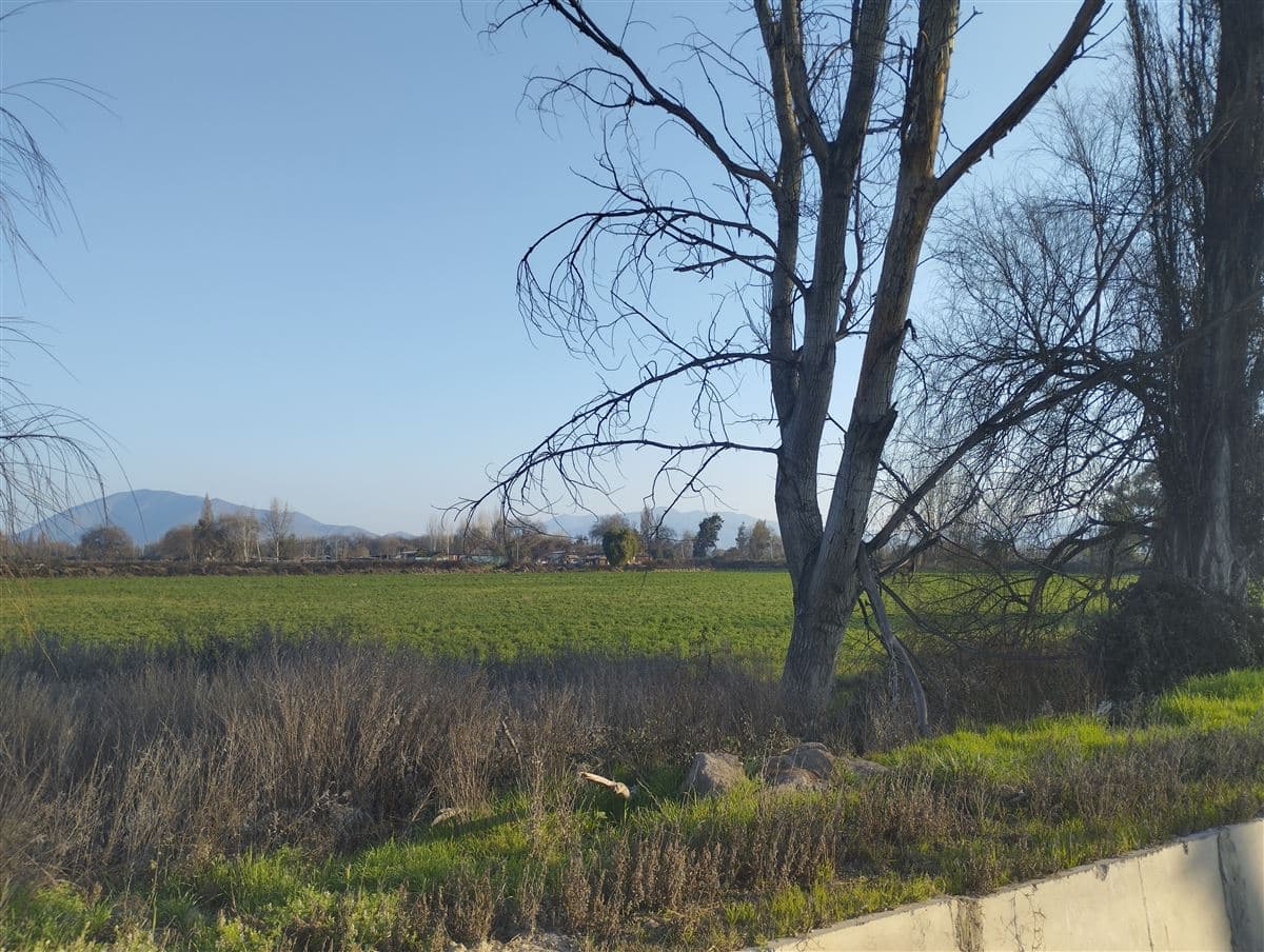 Camino Lo Boza - Camino a Noviciado