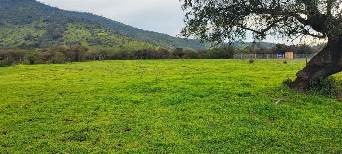 CAMINO EL DIBUJO 100 , MELIPILLA 