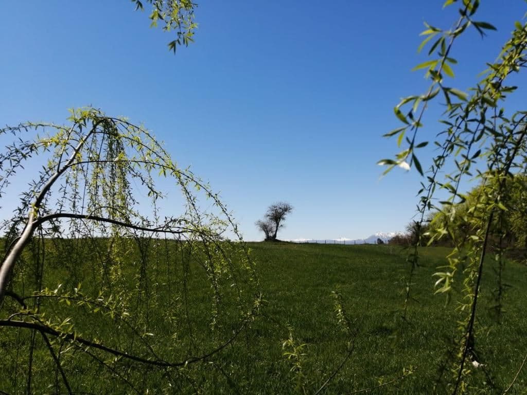 Mariposas 2 Norte, km 4