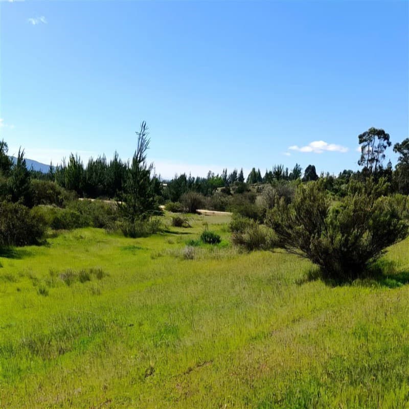 Oferta en Cauquenes, parcela de 5.000m2 con rol propio 