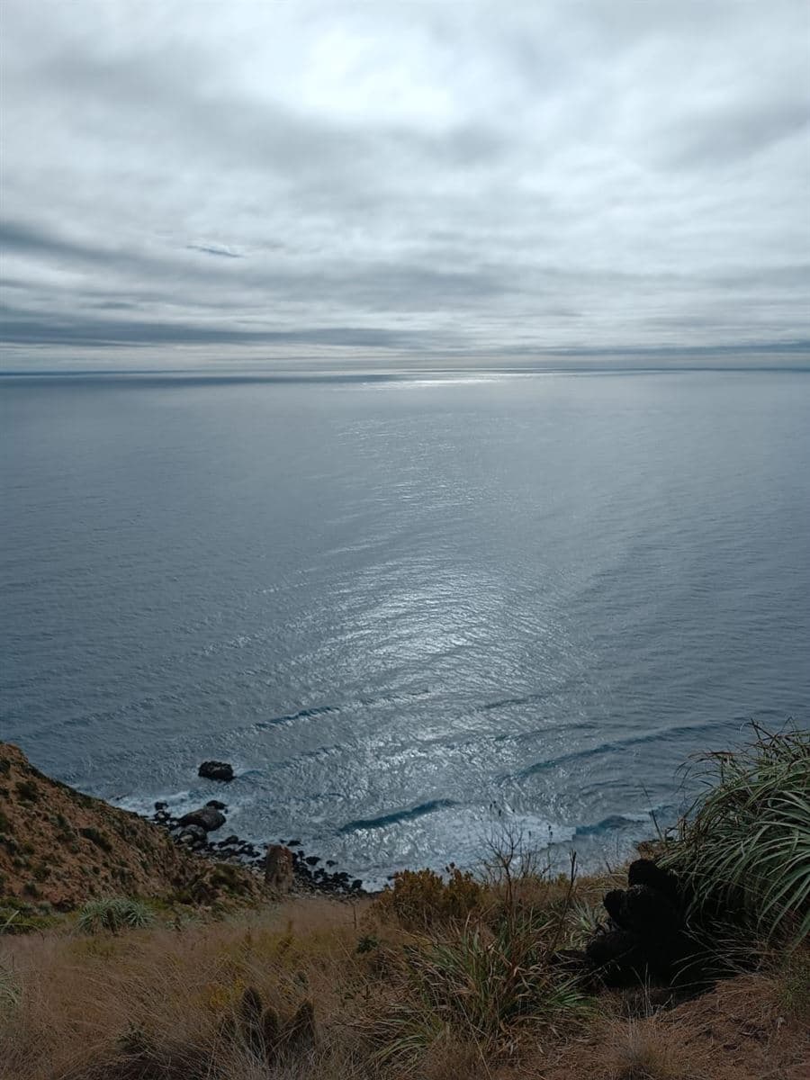 La Polcura, Navidad.