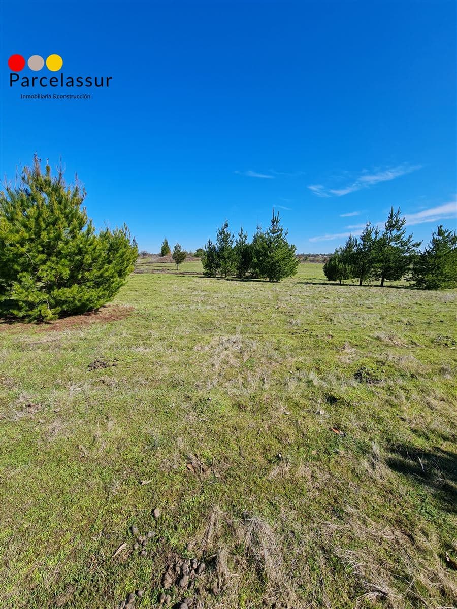 san nicolas sector lleguen 