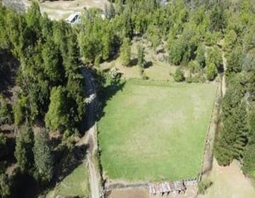 Predio ubicado a 38 km hacia la cordillera de Yungay, comuna de Yungay