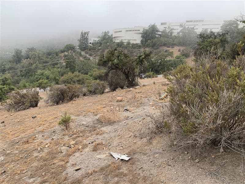 Universidad Adolfo Ibáñez /Centro de eventos Botánico