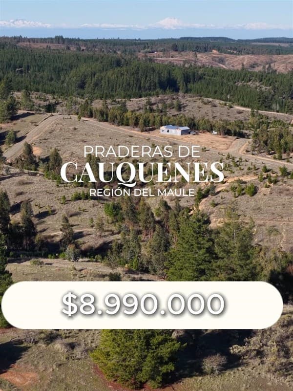 Cauquenes