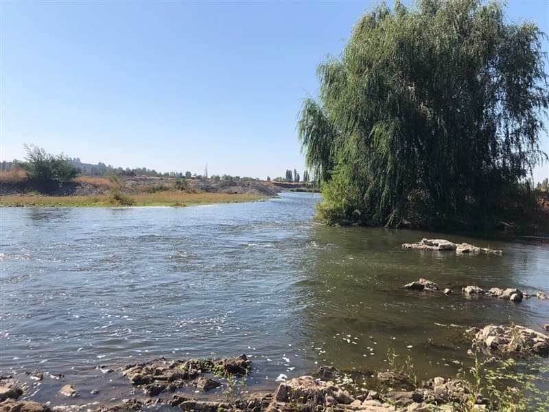 Melocura, San Javier de Loncomilla