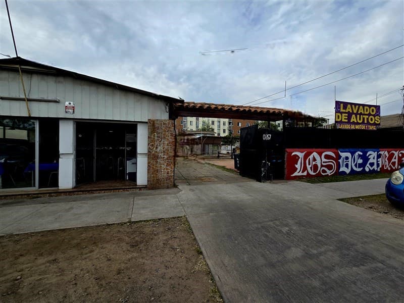 Isabel La Católica con Colón