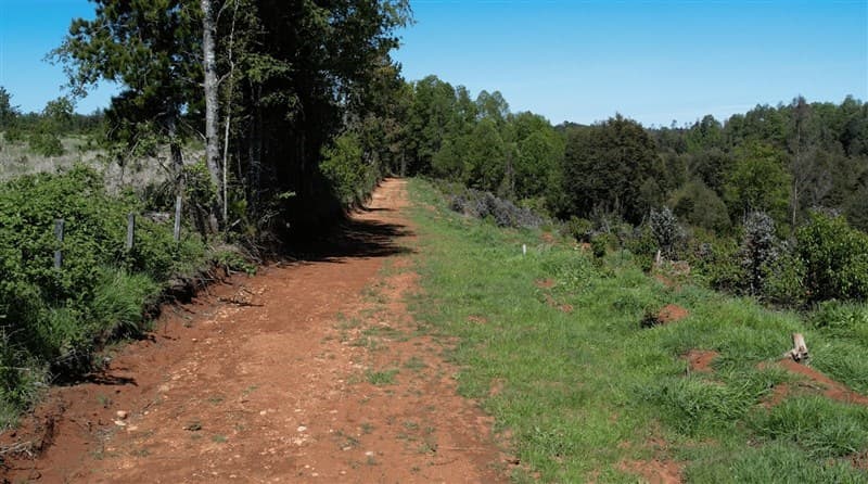 41°18"25.0"S 73°26"16.0"W