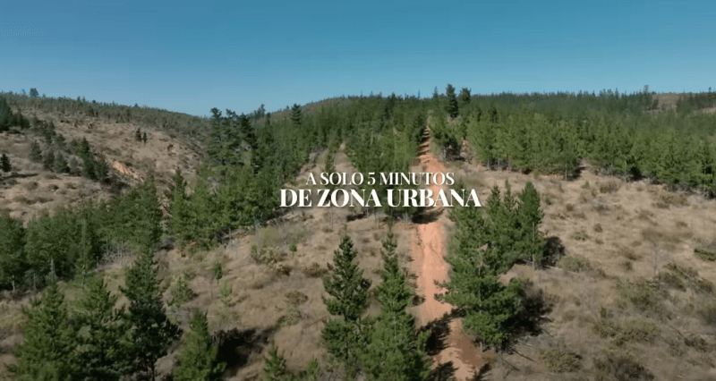 SAN PEDRO DE ALCANTARA 