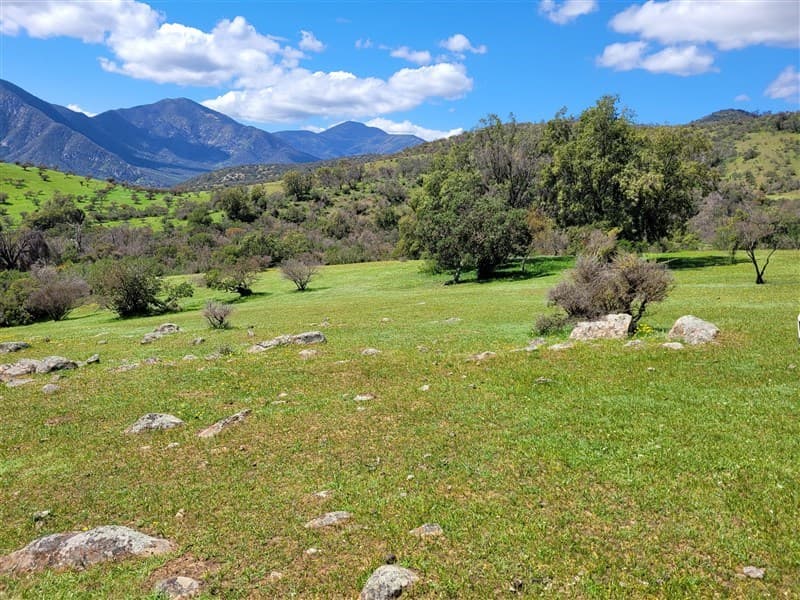 EN VENTA CAMPO DE 36 HA. APTO PARCELACIÓN DE AGRADO, AGRICOLA, GANADERA, TURISTICA
