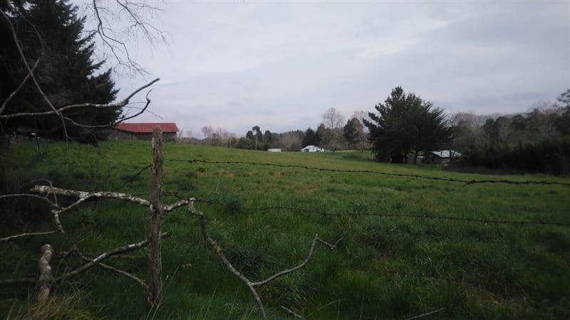 Paraguay grande lecheria