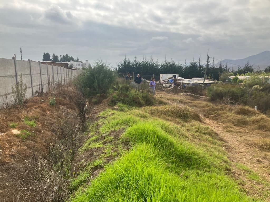 Camino al Valle del Elqui