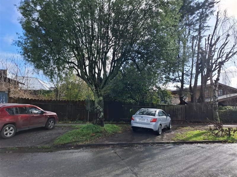 San Martín / Pedro Montt