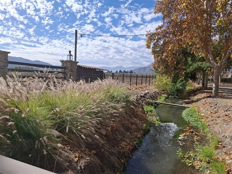 5000 m2 agua y electricidad en cada parcela Panquehue sector Viña Errazuriz