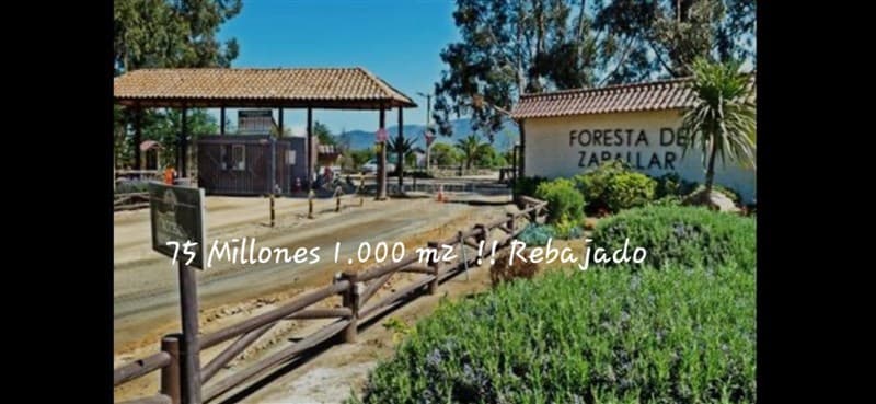 KILOMETRO 39 RUTA 5 NORTE 