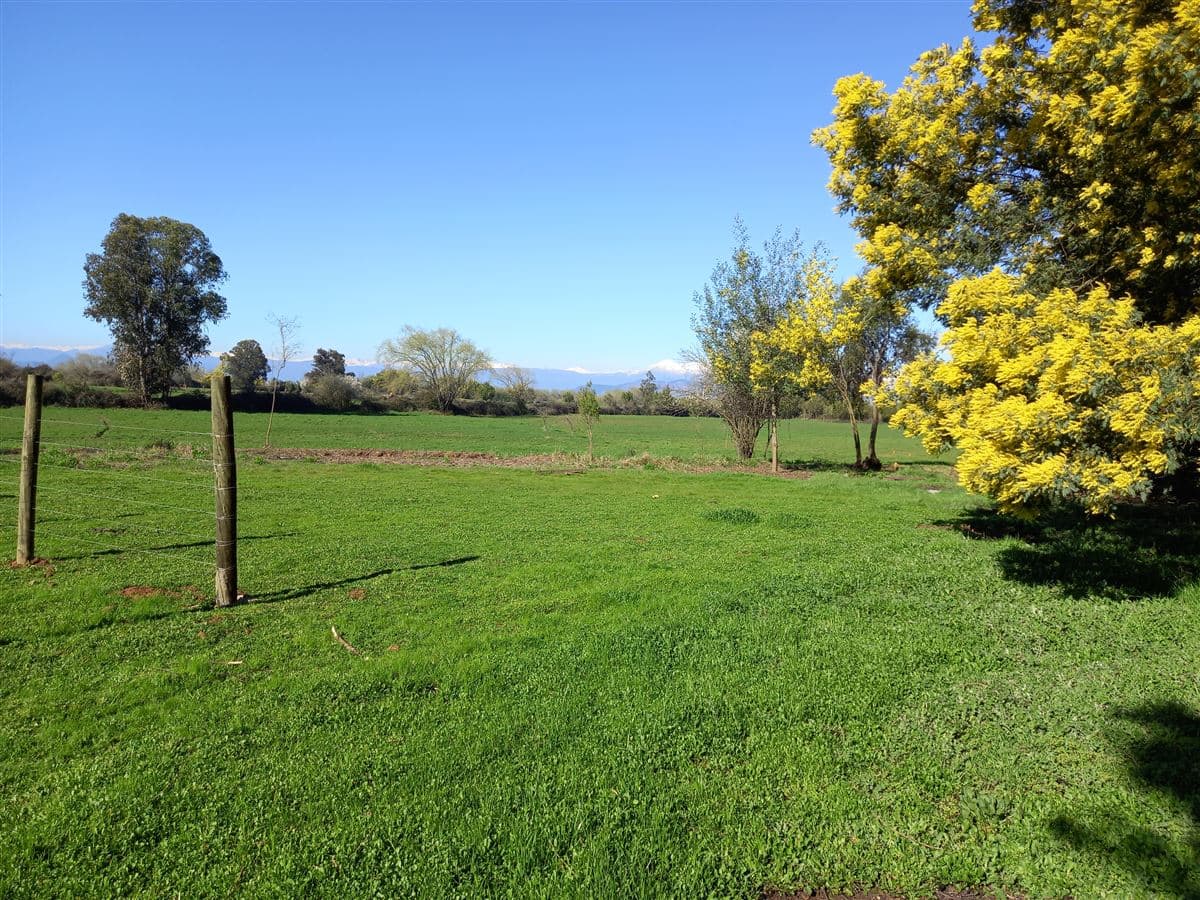 Sector Mariposas 2 Norte Km 6.8